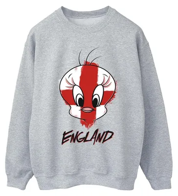 Produktbild von Looney Tunes - Sweatshirt für Herren BI49144 (XXL) (Grau)