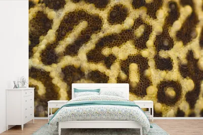 Produktbild von MuchoWow® Fototapete für Wohnzimmer oder Schlafzimmer Wandtapete Vinyl Motivtapete Nahaufnahme von Leopardenmustern - 360x240 cm - Vinyl-Tapete