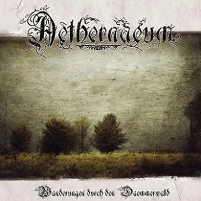 Produktbild von AETHERNAEUM - Wanderungen durch den Daemmerwald CD