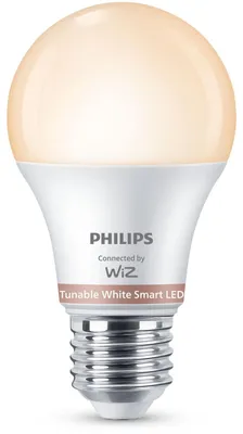 Image de Ampoule Philips 60 W A60 E27