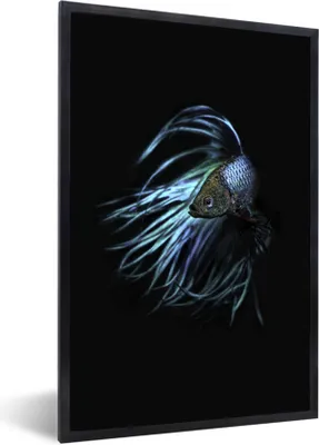 Produktbild von MuchoWow® Gerahmtes Poster Fische - Meerestiere - Blau - Schwarz 20x30 cm - Poster mit Schwarzem Bilderrahmen Wandposter Rahmen Foto Bilder - Drucken - Bilder Poster im Rahmen