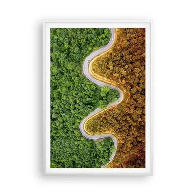 Produktbild von Gerahmtes Poster - Weißer Rahmen - Luftaufnahmen Weg Wald - 70x100 cm - Wand Bild - Wanddeko - Wandbilder - Kunstposter - Wandposter - Bilderrahmen - Bilder - Kunstdruck - P2WPA70x100-4659