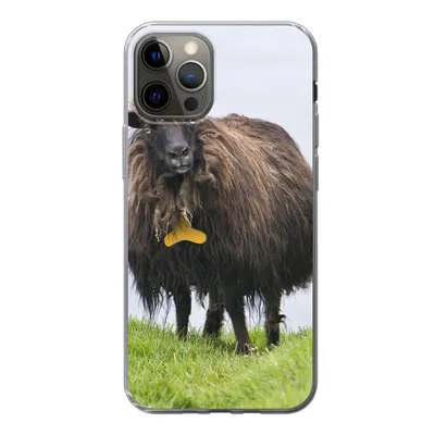 Produktbild von MuchoWow® Handyhülle Schutzhülle Hülle für iPhone 12 Pro Schafe - Braun - Meer Silikon Softcase Handy Hülle - Abdeckung