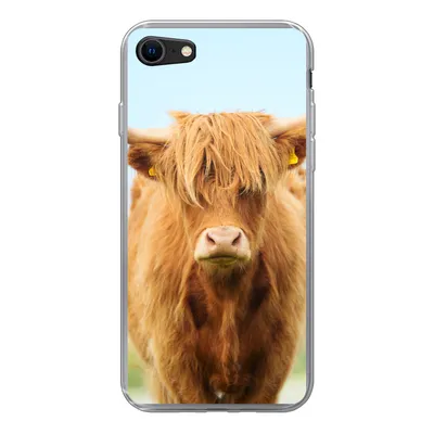 Produktbild von MuchoWow® Handyhülle Schutzhülle Hülle für iPhone 7 Schottischer Highlander - Haare - Gras Silikon Softcase Handy Hülle - Kartenhalter