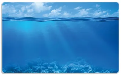 Produktbild von Wallario Frühstücksbrettchen aus Glas, je 14 x 23 cm, mit rutschfesten Füßen, Motiv Unterwasserwelt Meer