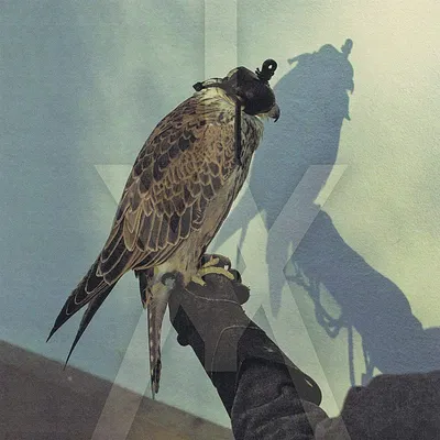 Iceage - You're Nothing (Vinyl-LP, 1 LP)