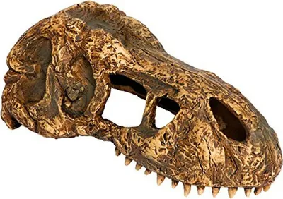 Immagine prodotto di Exo Terra Dino T-Rex
