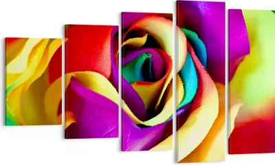 Produktbild von Bild auf Leinwand - Leinwandbild - Blume Farbe Rose - 100x60cm - Wand Bild - Wanddeko - Wandbilder - Leinwanddruck - Bilder - Kunstdruck - Wanddekoration - Leinwand bilder - Wandkunst - EG100x60-3623