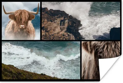 Produktbild von MuchoWow® Poster Schottisches Hochlandrind - Collage - Steine - Meer 120x80 cm - Bilder