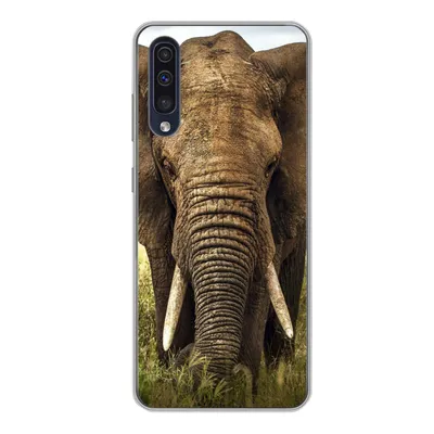 Produktbild von MuchoWow® Handyhülle Schutzhülle Hülle für Samsung Galaxy A50 Elefant - Gras - Tiere - Natur Silikon Softcase Handy Hülle - Mobiltelefonhülle
