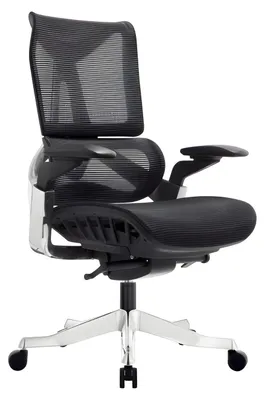 Productafbeelding van Ergonomische bureaustoel, zwart, draaibare stoel voor het kantoor