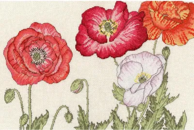 Produktbild von Auslaufmodell Bothy Threads Kreuzstich Set "Mohnblüten", Zählmuster, XBD15, 36x24cm
