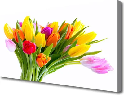 Produktbild von Tulup Leinwand-Bilder 100x50 Wandbild Canvas Kunstdruck Tulpen Pflanzen