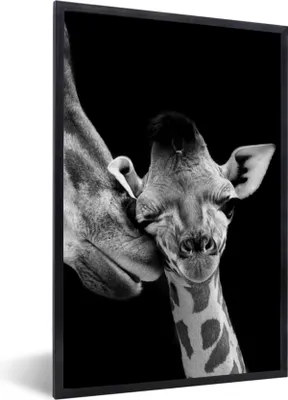 Produktbild von MuchoWow® Gerahmtes Poster Tiere - Schwarz - Weiß - Giraffe - Porträt 60x90 cm - Poster mit Schwarzem Bilderrahmen Wandposter Rahmen Foto Bilder - Kunst