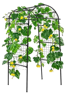 Immagine prodotto di Supporto per piante rampicanti, struttura a forma di U alta, design resistente agli agenti atmosferici, dimensioni 90x80x205 cm