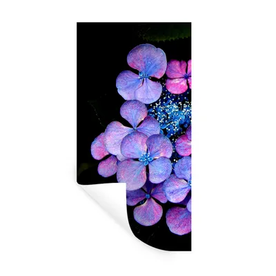 Produktbild von MuchoWow® Wandtattoo Wandsticker Wandaufkleber Hortensie Nahaufnahme 40x80 cm Selbstklebend und Repositionierbar - Repositionierbar - Wasser abweisend