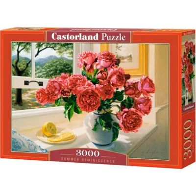 Immagine prodotto di Puzzle di CASTORLAND memoria dell'estate 3000 pezzi