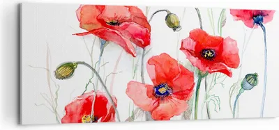 Produktbild von Bild auf Leinwand - Leinwandbild - Blume Mohn Wiese - 100x40cm - Wand Bild - Wanddeko - Wandbilder - Leinwanddruck - Bilder - Kunstdruck - Wanddekoration - Leinwand bilder - Wandkunst - AB100x40-3584