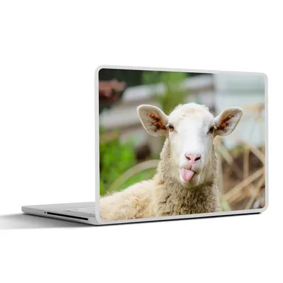 Produktbild von MuchoWow® Laptop Aufkleber Sticker Cover Schafe - Tiere - Wolle 25x18 cm - Laptop-Deko