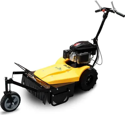 Produktbild von BAMATO Mulchmäher GM-200 mit LONCIN Motor