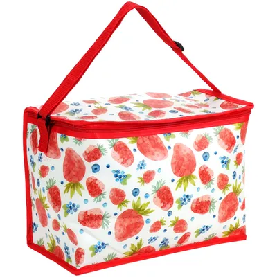 Produktbild von Kühltasche 10L Kühlbox Picknicktasche Lunchtasche Faltbar Tasche Thermotasche Isoliertasche für Lebensmitteltransport, Camping, Barbecue, Picnick