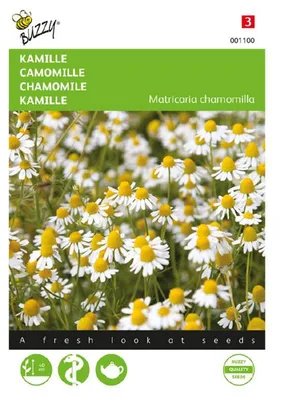 Zdjęcie produktu dla Kamilka | Nasiona kamilki od Buzzy Seeds