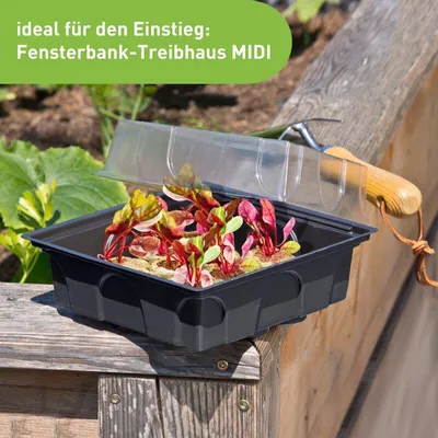 Produktbild von Fensterbank-Treibhaus Midi mit Quelltabs