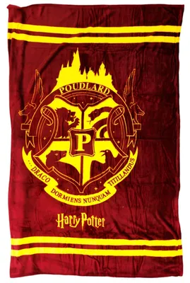 Produktbild von Harry Potter Hogwarts Flanell Wohndecke warme Kuscheldecke 130x160 cm