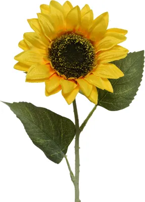 Produktbild von Künstliche Sonnenblume mit Stiel 14x64cm Gelb