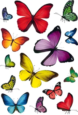 Immagine prodotto di HERMA 3084 Sticker DECOR "Schmetterlingsvielfalt"(S)