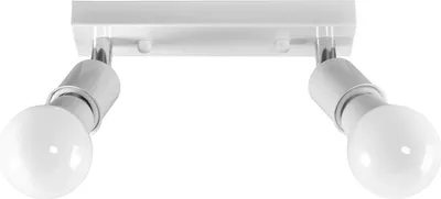 A white ceiling lamp with two adjustable spotlights.