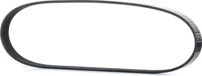Produktbild von RIDEX Keilrippenriemen 842mm für VW GOLF VI (5K1) 305P0391
