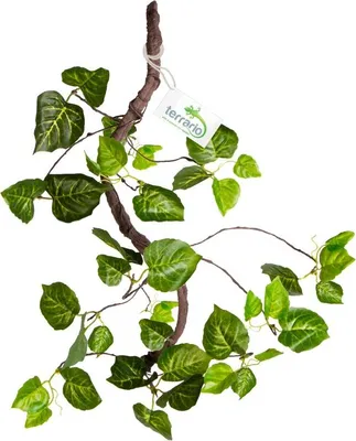 Produktbild von Terrario – Künstliche Pflanze für das Terrarium – Hängender Efeu 80 cm Terrario