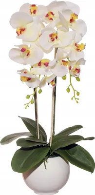 Image de Arrangement floral Orchidée Arrangement de table Orchidée Fleur artificielle Décoration Fleur artificielle ; Blanc