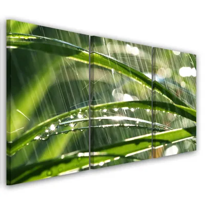 Image de Triptyque sur toile verte naturelle 60 x 40 cm Feeby verte, tableau mural prêt à accrocher