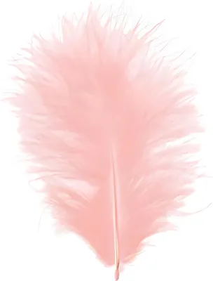 Produktbild von GLOREX Marabufedern ca.15 Stück Rosa