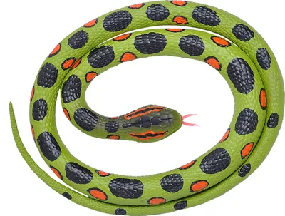 Obrázok produktu pre Gumový had anakonda – 117 cm