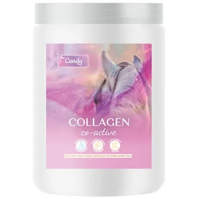 Produktbild von Futtermittelzusatz Biofeed Glucosamin Chondroitin Kollagen Pferde, Ponys