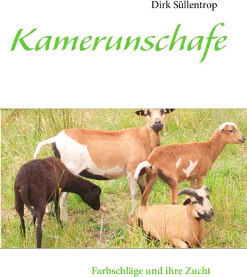Produktbild von Kamerunschafe