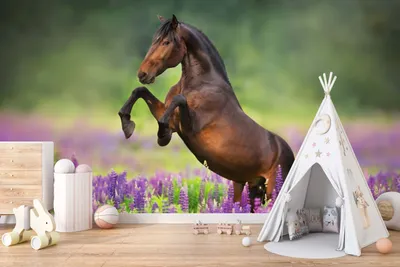 Obrázok produktu pre DECO WALLS Tapeta do detskej izby Kôň - výnimočná odolnosť XXL 148x220 cm