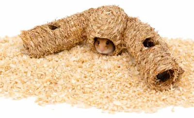 Image de Tunnel à foin pour rongeurs , idéal comme abri pour souris , hamsters