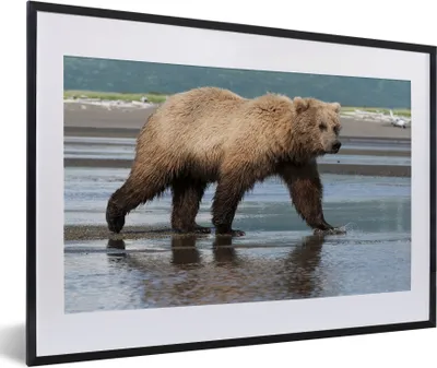 Produktbild von MuchoWow® MuchoWow® Gerahmtes Poster Bär - Strand - Wasser 60x40 cm - Poster mit zchwarzem Bilderrahmen - Schlafzimmer - Plakat in Rahmen - Drucken