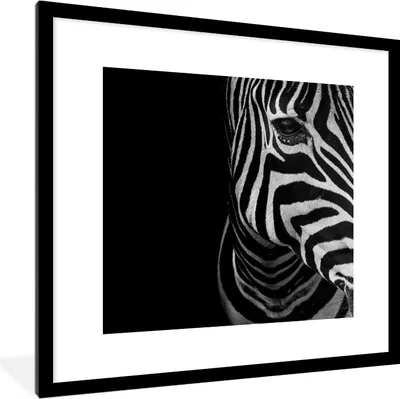 Produktbild von MuchoWow® Gerahmtes Poster Tiere - Zebra - Schwarz - Weiß 40x40 cm - Poster mit Schwarzem Bilderrahmen Wandposter Rahmen Foto Bilder - Poster - Plakat im Rahmen