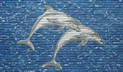 Produktbild von Badematte Universal Friedola "Dolphin" - Rechteckig - Badezimmermatte - Duschmatte - Blau/Grau - 80x48cm