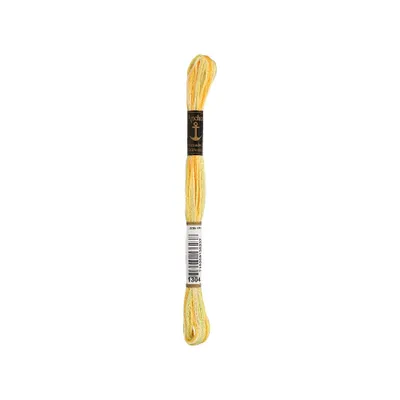 Produktbild von Anchor Stranded Baumwolle Multicolor 1304 8 m Stickgarn
