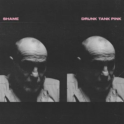 Obrázok produktu pre Shame: Drunk Tank Pink - 375 Media - (CD/D)