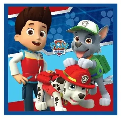 Produktbild von Paw Patrol Magisches Handtuch Gesichtstuch, Handtuch 30x30cm