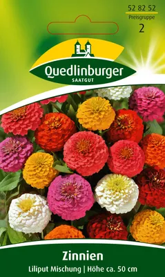 Produktbild von Zinnie Liliput Mischung | Zinniensamen von Quedlinburger