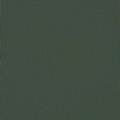 Zdjęcie produktu dla Materiał zapasowy do markizy Ciemnozielony 481 x 295 cm