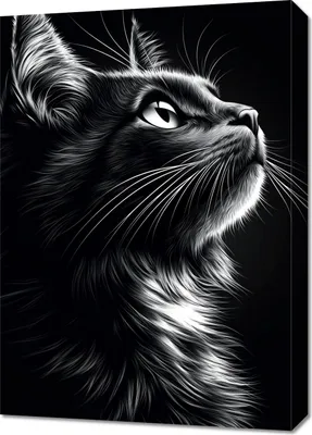 Immagine prodotto di Quadro 50x70 cm Ritratto di animali per il salotto | Gatto | Bianco e nero